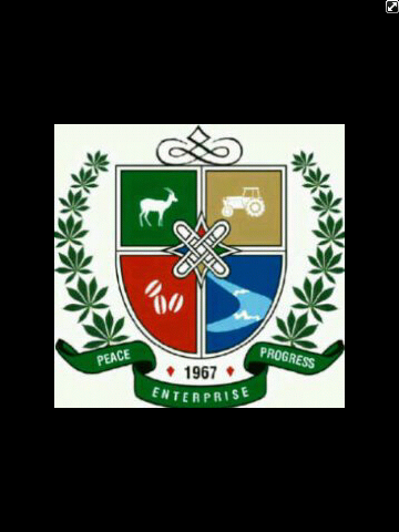 kwaralive's profile picture. It's good here!