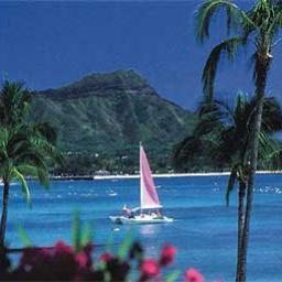 All the deals of Honolulu!.