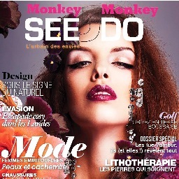 Twitter Officiel du Magazine #MonkeySeeMonkeyDo #MSMD - L'urbain des envies
