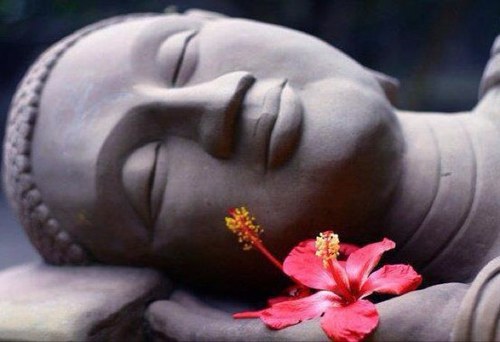 as a Reiki Master and Teacher, she supports her partner in shamanistic body and mind works