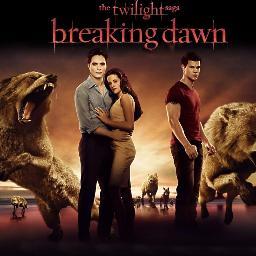 Amando Twilight