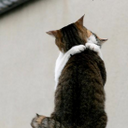 fiona mcgee - @fifilalaaaa - Twitter