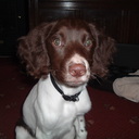 Hugh Baldwin - @BilgeBucket1 - Twitter