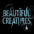 LIGHTorDARK's profile image