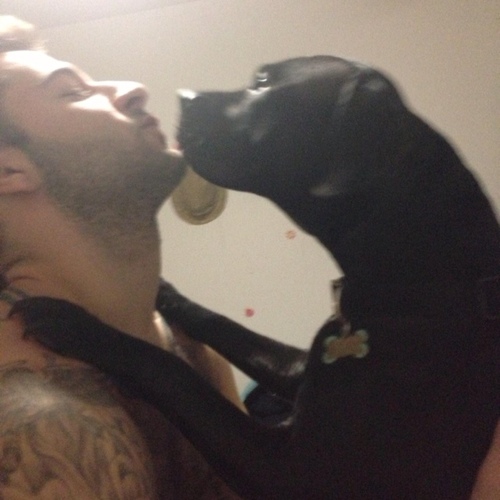 shaaadyho's profile picture. 