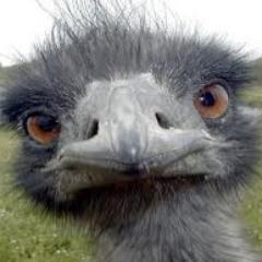 MickHarr's profile picture. 