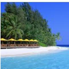 Karolle_W's profile picture. #Love yourself first and everything else falls into line