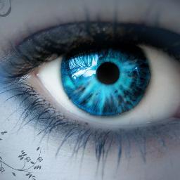 Plotkaranet's profile picture. 