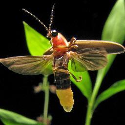 MarkAlanJudge's profile picture. A soul first, borrowing a shell, following his bliss, rolling in his joy, laughing at all the wrong moments and working on getting paid to write