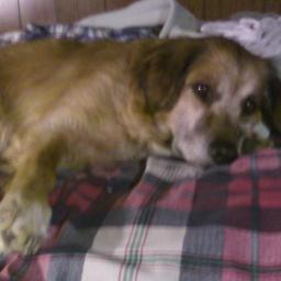 slowasasnail3's profile picture. I rock!