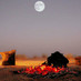 متعب الحربي (@mt3b_95) Twitter profile photo متعب الحربي (@mt3b_95) Twitter profile photo