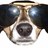 DEALFISH's profile image