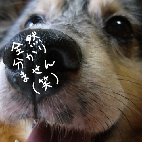あなたならできる。あなただからできる。