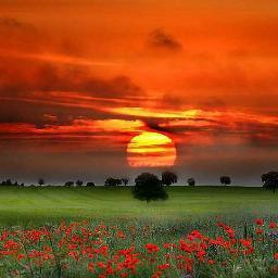 lokmanturanetal's profile picture. 