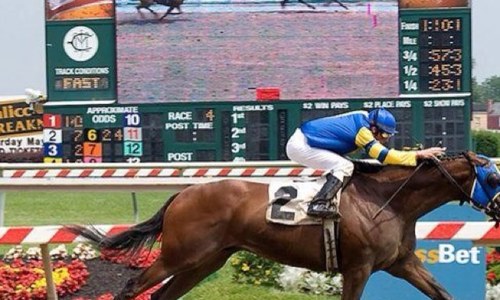 CPA in Northern Virginia and Managing Partner in Claim 2 Fame Stables, LLC which races thoroughbred horses in the mid-atlantic area.