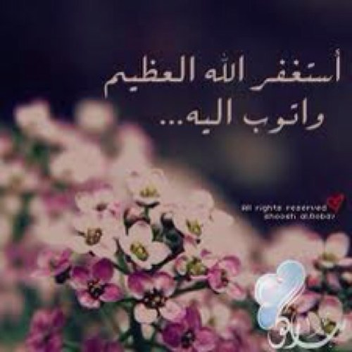 أنثى .. عانقت بأحلامها السماء ..
تهوى القراءة بشغف .. تعشق البحر ونسيمه ..
تتمنى رضا والديها وتسعى له ..
تلك هي انا ..
