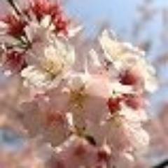 はじめまして。乾友弘です。
サラリーマンをしながら株式投資、
FX投資、輸入販売をしています。
日々の気になる事を皆さまと
共有できれば幸いです。
よろしくお願いします。