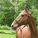 Daniel Laflèche - @DanielLaflche - Twitter