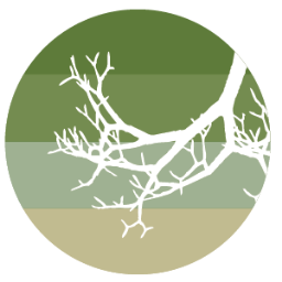 Strong Roots CIC is no longer trading. This account will be closed in due course.