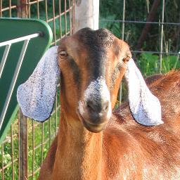 jasparks23's profile picture. 