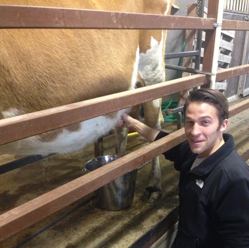 GrassfedisBest's profile picture. 