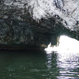 nicebrows's profile picture. 