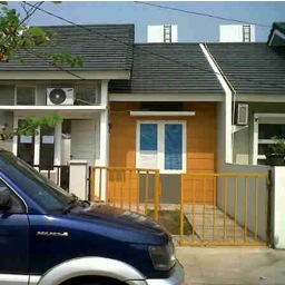 CotBea's profile picture. 