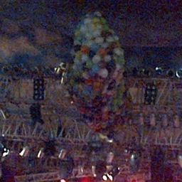 CaiAryani's profile picture. 