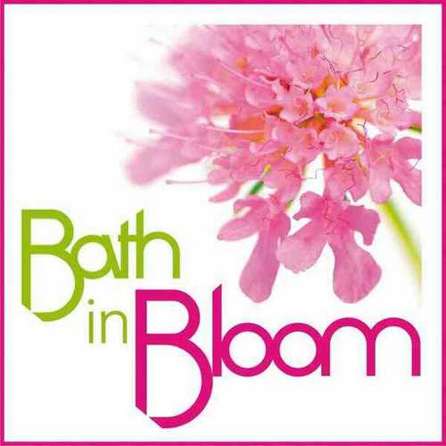 Bath in bloom is all about communities and BANES council working in partnership to make Bath a greener and more beautiful place to live, work and visit.