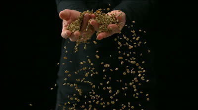 dbeachner913's profile picture. 