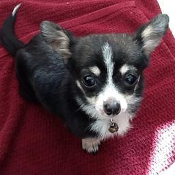 magybeads1's profile picture. 