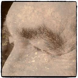 MalletBurt's profile picture. 