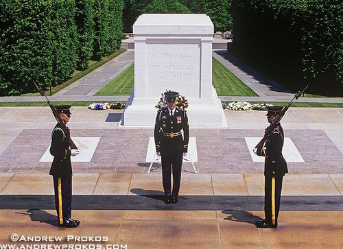 LibertyinDC's profile picture. 