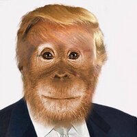 Donald Chimp(@DonaldJChump) 's Twitter Profile Photo