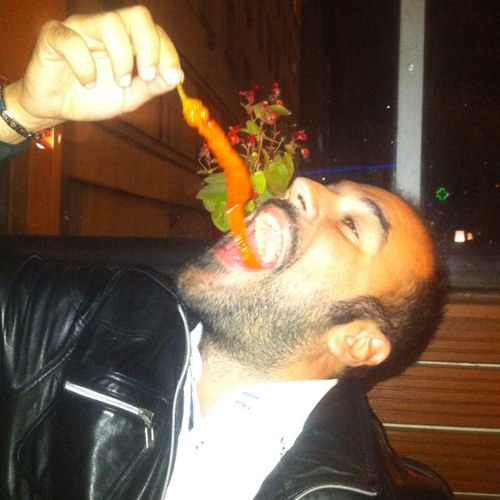 Allocool's profile picture. 