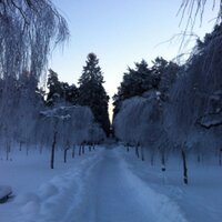 Johan Lagerkvist (@chinaroader) 's Twitter Profile Photo