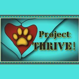 ProjThrive's profile picture. 