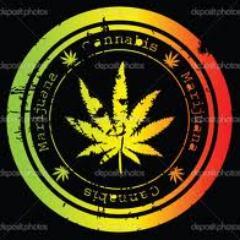 #cannabis #organics #weed #seed #cloning #cuttings 
#growlight #smoke_report 
#review #help #advice #growroom_build #product_testing #maryjane
@highstdiscounts