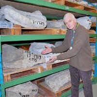 Kieran Shepherd (@palaeoscool) 's Twitter Profile