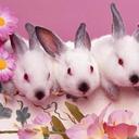 Janie Freeman - @intenseraybet - Twitter