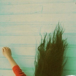 SiStheband's profile picture. Clever, chilled, country tinged urban cool... like a kumquat on toast. 'guessing the others' out now - iTunes: http://t.co/ujOk3Y3BQS