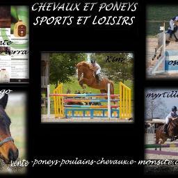 ventechevaux's profile picture. Vente poneys poulains et chevaux de sports et loisirs
Vendeuse d'aloe verra pour nous et nos animaux