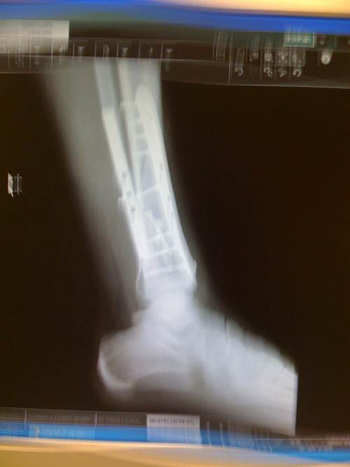 valentani's profile picture. 