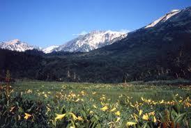 en2stunamhim's profile picture. DVD鑑賞が好き☆色んなDVDを集めてます♪本当に大好きですー((´･ｪ･`))運転大好き(●´□`●)ただ、駐車は苦手...。でも、がんばって運転上手を目指します!!