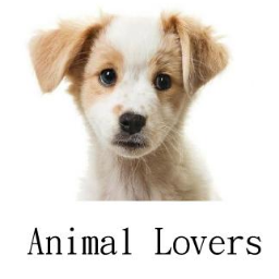 AnimalLoversNam's profile picture. Provide information of lost pets, found pets, and pets up for adoption. Explore and download cute pictures or you can upload your own.