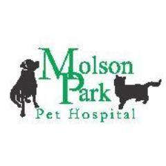 A veterinary clinic in Barrie, Ontario, treating dogs and cats. We aim to keep your pets healthy through education, preventive and medical care, and nutrition.