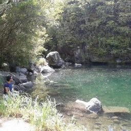 RortegaP's profile picture. 