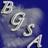 bgsapennstate's profile image