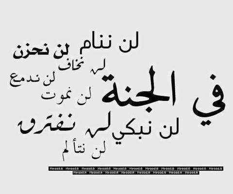 الطائف حى البيعه 0538465018