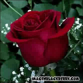 solpil's profile picture. Amo la naturaleza